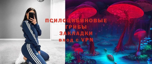 спайс Ладушкин