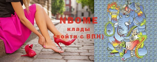 шишки Новосибирск