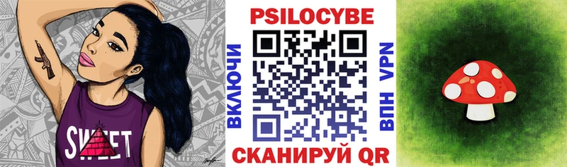 купить  цена  Старая Купавна  Псилоцибиновые грибы Psilocybe 