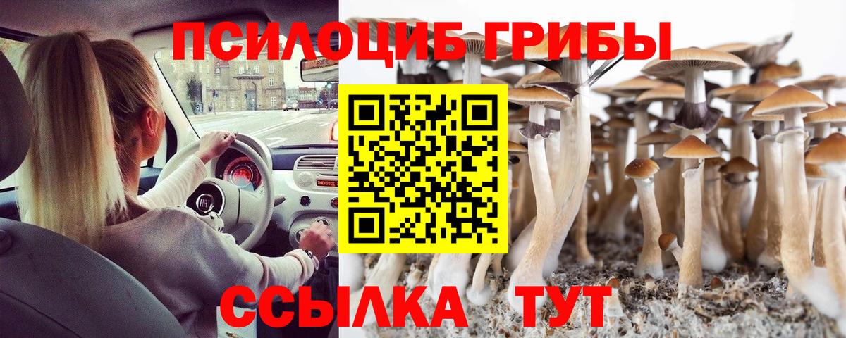 Псилоцибиновые грибы ЛСД Старая Купавна