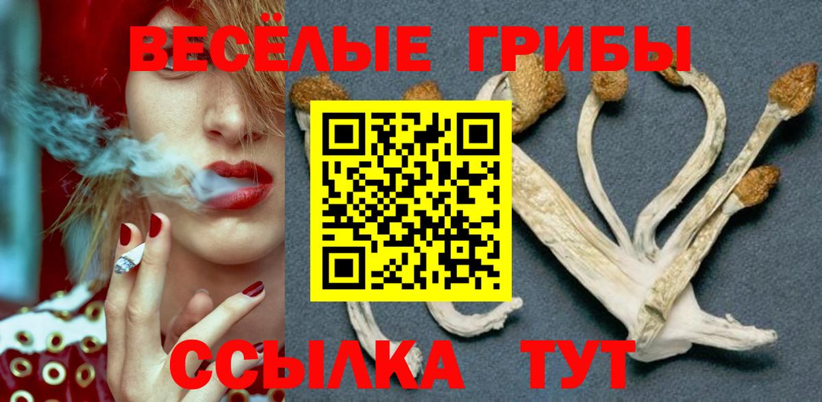 Старая Купавна  Галлюциногенные грибы Psilocybine cubensis  закладки  Вход с VPN 